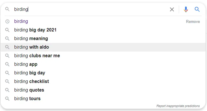 A list of searches stemming from the query "birding"