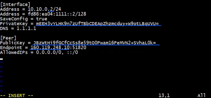 wireguard client config file text in Vim