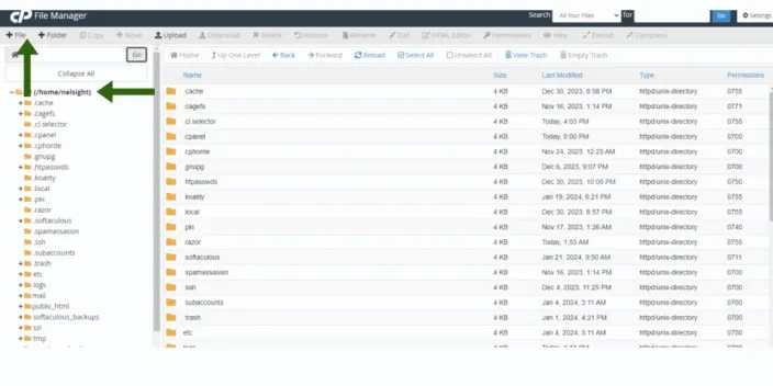 how to import and export a database with ssh
