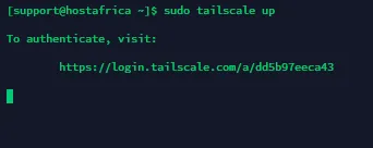 tailscale machine ready