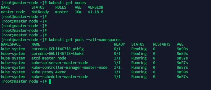terminal output