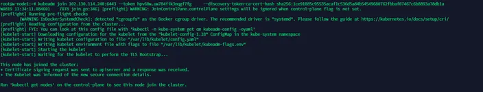 terminal output