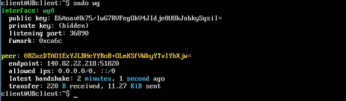 terminal output