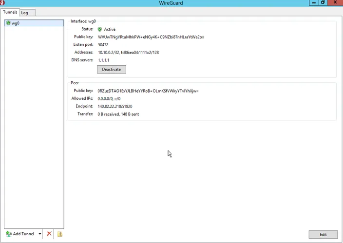 terminal output