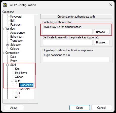 Optional Step 4: Authenticating with SSH Keys by uploading a Private key file within the "Credentials" section.