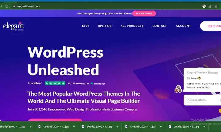 elegant theme