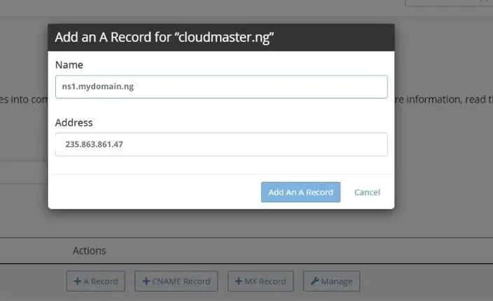 Add an A Record dialog with ns1 as the name and an IP address in the address field