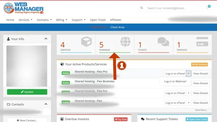 Client area dashboard with an arrow pointing to the Domains counter