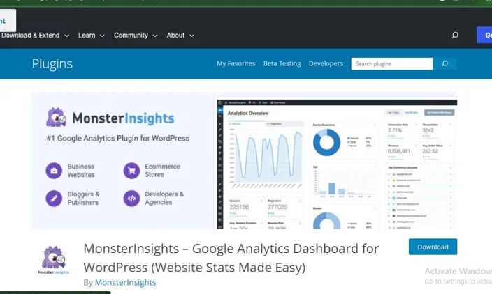 MonsterInsights plugin