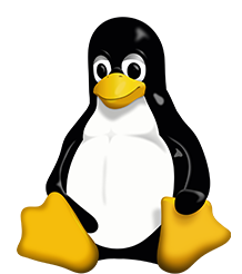 Linux VPS Hosting in Nigeria