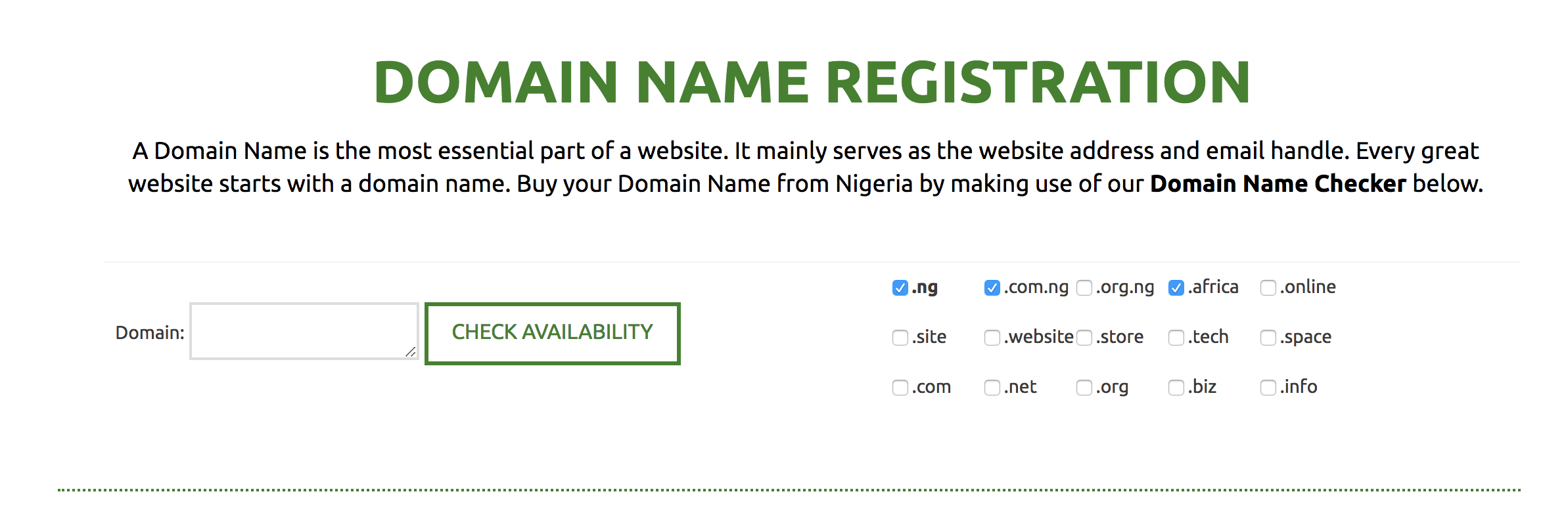 Domain Name Checker